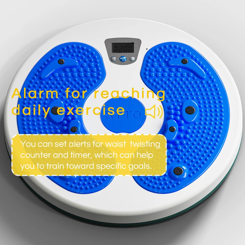 NeuroTwist Balance Disc