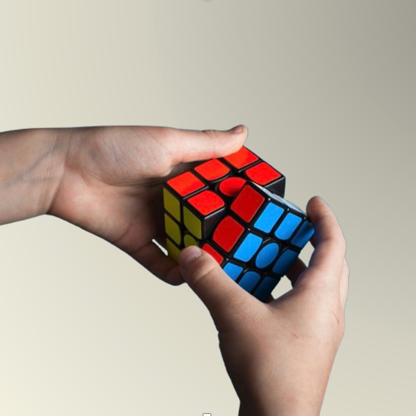 NeuroCube Training Puzzle