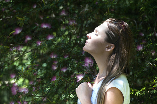 The Power of the Mind’s Eye: How Mental Imagery Boosts Memory and Brain Health
