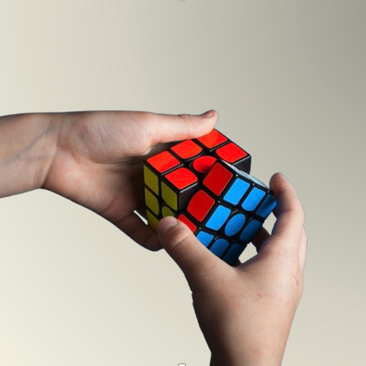 NeuroCube Training Puzzle